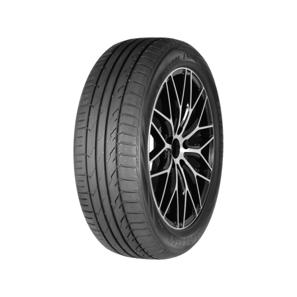 Evergreen DYNACONTROL ES880 R19 225/55 99V